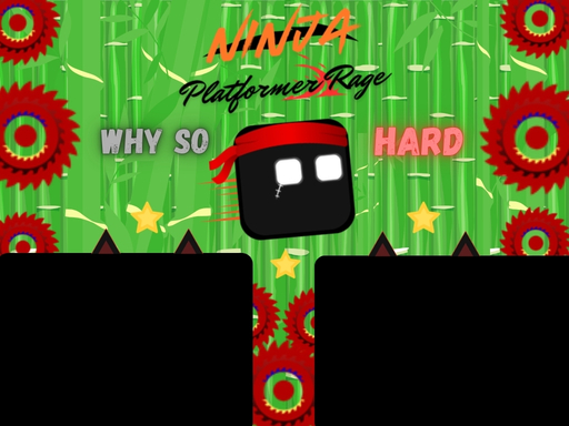 Ninja Platformer Rage